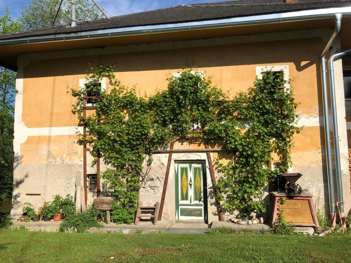 Ferienwohnung Klampfermuehle Vorchdorf Dış mekan fotoğraf